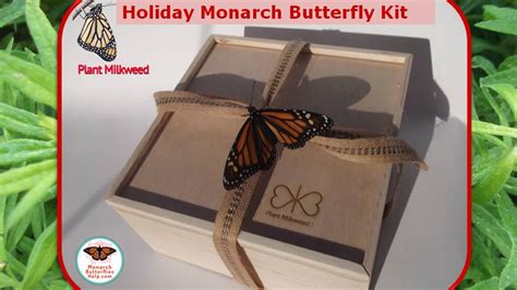 Plant Milkweed Holiday Monarch Butterfly Kit By Monarch Butterflies