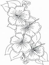 Hawaiian Flower Coloring Pages Flowers Color Getcolorings Printable Drawing sketch template