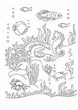 Seabed sketch template