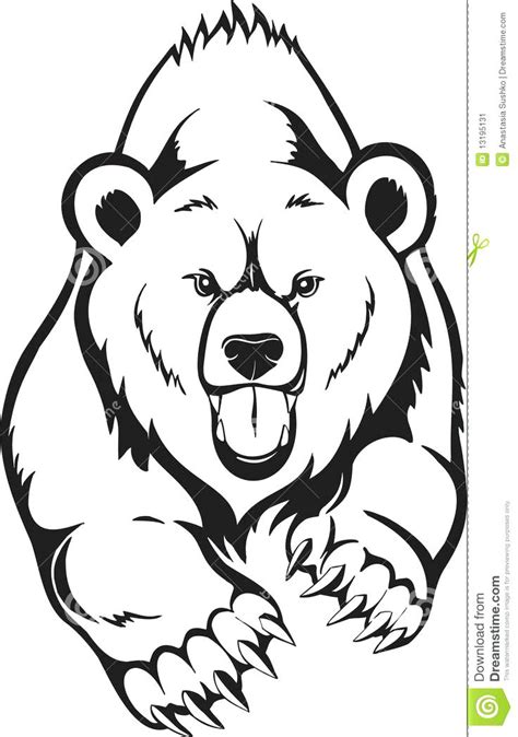 polar bear face drawing  getdrawings