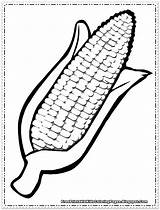 Corn Coloring Pages Printable Cob Cartoon Kids Color Clipart Thanksgiving Drawing Print Vegetable Cliparts Harvest Preschool Fall Pre Printables Fruit sketch template