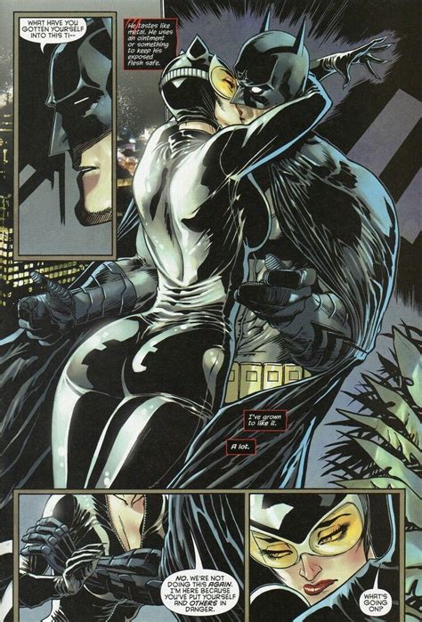 Catwoman And Batman New 52 Batman And Catwoman