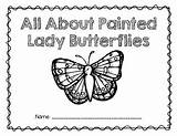 Painted Lady Writing Unit Butterflies Research Butterfly Teacherspayteachers Project Choose Board Diagram sketch template