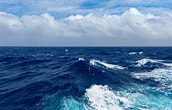 Image result for Biggest sea. Size: 172 x 110. Source: www.depthworld.com