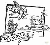 Coloring Wyoming Map Pages Arkansas State Color Printable Usa Tree Drawing Getcolorings Supercoloring Dot sketch template