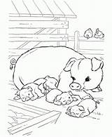 Coloring Pig Baby Pages Print sketch template