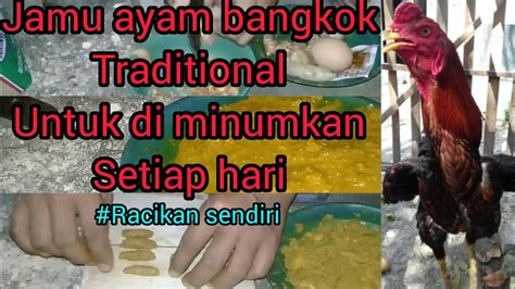 membuat jamu ayam bangkok traditional racikan sendiri