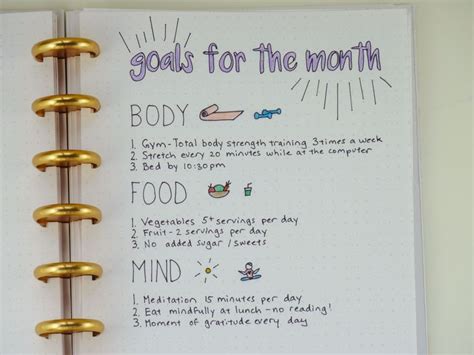 using a bullet journal for health and fitness goals