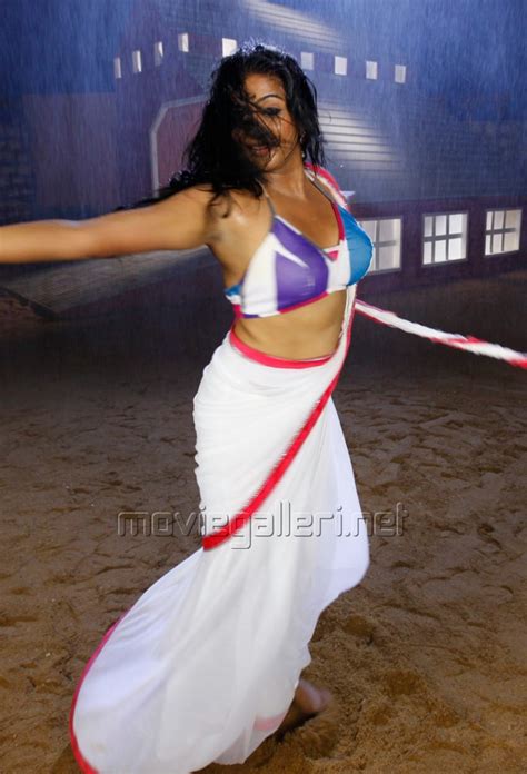 picture 414541 tikka movie actress priyamani spicy hot saree photos new movie posters