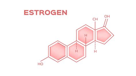 rid  estrogen   encompassing guide umzu