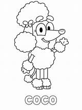 Coco Bluey Coloring Pages Printable Kids Poodle Color Sheet Fun sketch template