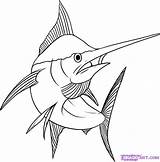 Drawing Marlin Fish Tuna Coloring Drawings Pages Blue Draw Printable Yellowfin Google Choose Board Sword Line Getdrawings sketch template