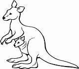Kangaroo Coloring Cangur Planse Pui Colorat Canguro Kolorowanki Canguri Animale Kangaroos Canguros Plansa Copilul Dzieci Calut Kangury Joey Colorpage Educatie sketch template