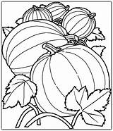 Harvest Coloring Printable Pages Fall Autumn Getdrawings sketch template