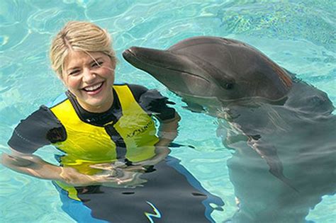 x factor hosts swim with dolphins in dubai plus watch a preview from