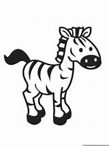 Zebra Coloring Pages Printable Print Kids Cartoon Drawing Clipart Stencil Sheet Simple Baby Clip Animal Color Templates Easy Paint Library sketch template