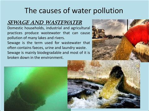 Causes Of Water Pollution Causes And Effects Of