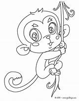 Monkey Singe Mewarnai Affe Monyet Macaco Mono Hellokids Monkeys Gratuit Guenon Colorier Noix Bébé Monos Buzz2000 Sebarkan Jedessine Imprimé Fois sketch template