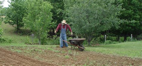 Building The Traditional Scarecrow Farm Hand S Companion