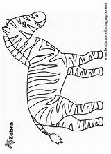 Zebra Coloring Pages Kids Printable sketch template