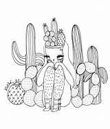 Valfre Cacti Getcolorings Llama Llamacorn Adults Oster sketch template