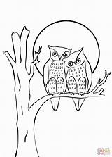 Coloring Owls Pages Couple Owl Printable Cartoon sketch template