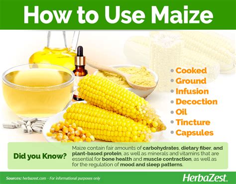 maize herbazest