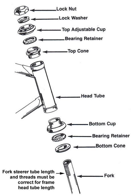 bearings reattaching fork  mountain bike    correct assembly order bicycles