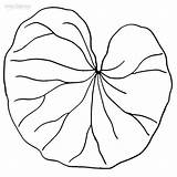 Seerosenblatt Lilies Ausmalbild Cool2bkids Leaf Kostenlos sketch template