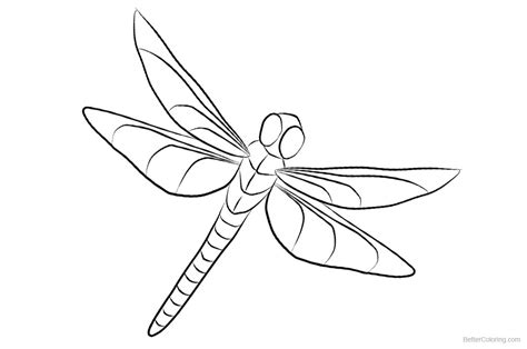 dragonfly coloring pages clipart  printable coloring pages