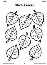 Leaf Coloring Patterns Fall Pattern Leaves Printable Pages Template Birch Flower Drawing Cut Tree Small Book Seasonal Templates Print Autumn sketch template