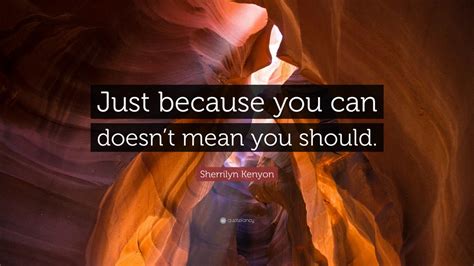 Sherrilyn Kenyon Quote “just Because You Can Doesn’t Mean You Should