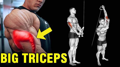 outer triceps training step  step tutorial guide