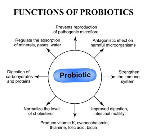 probiotics biomed supplements
