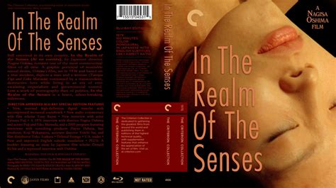 In The Realm Of The Senses 1976 Criterion Dvdrip Xvid
