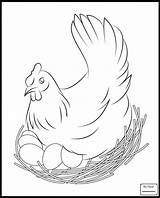 Coloring Chicken Eggs sketch template