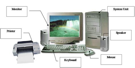 computer education computer basics input device  output device