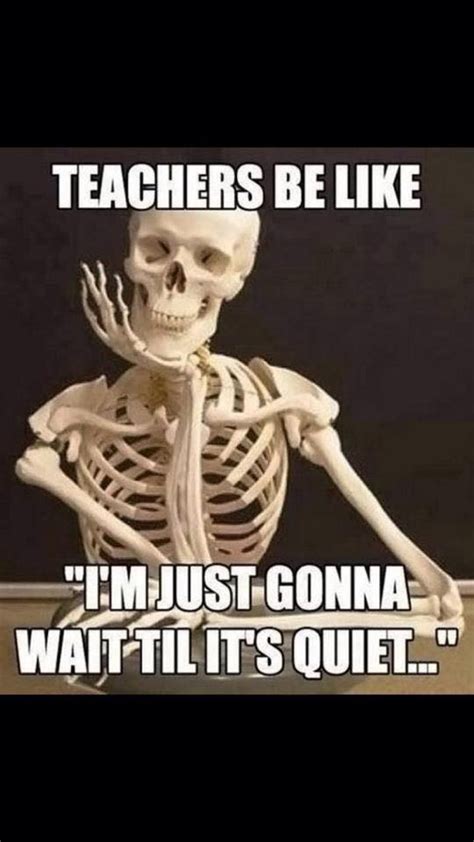 15 Funny Teacher Memes Only Teachers Will Get Teach