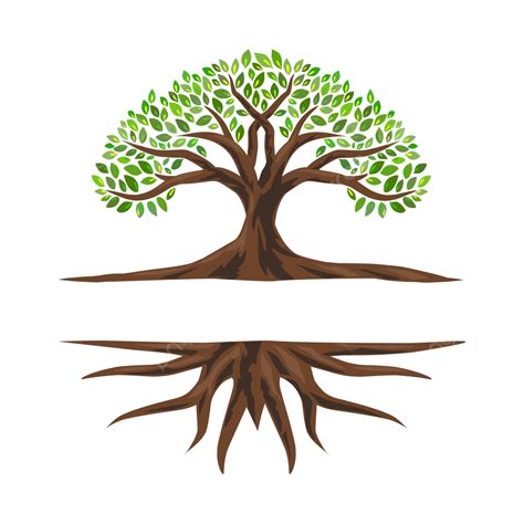 oak tree logo  space  text tree logo roots png  vector