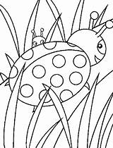 Coloring Grass Pages Ladybug Walking Grow Well So Designlooter Color 55kb 791px sketch template