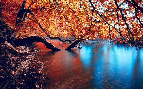 beautiful autumn lake wallpapers