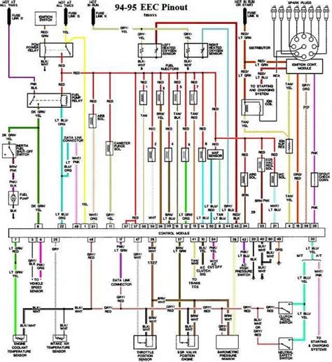 ford mustang gt     eec pinout wiring diagram   wiring diagrams
