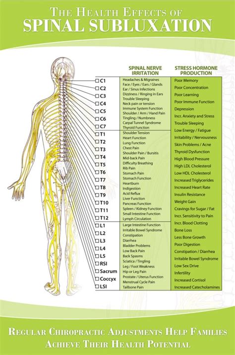 nerve chart hunter chiropractic wellness centre