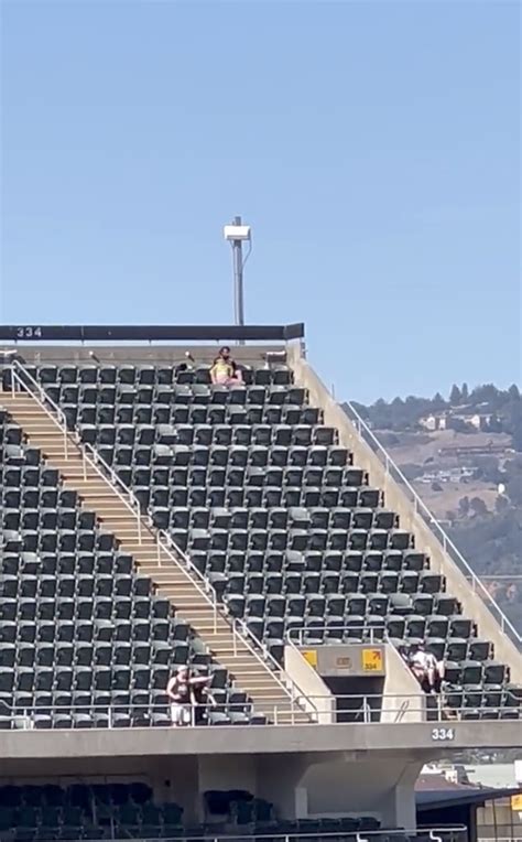 Oakland As Fans Return To Section Of Alleged Sex Act With Signs