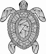 Coloring Advanced Pages Adult Detailed Turtle Older Sea Students Collection Part sketch template