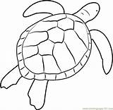 Turtle Coloringpages101 Leatherback sketch template