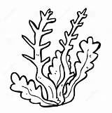 Seaweed Algae Algas Marinas Reef Entitlementtrap Clipartmag Ck Ot7 Retro Educativeprintable Gcssi 1390 sketch template