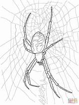 Spider Coloring Pages Garden Yellow Drawing Scary Creepy Printable Doll Kids Spiders Redback Halloween Drawings Clip Animals Silhouettes sketch template