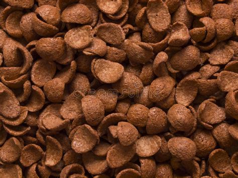 chocolate flavored cereal stock photo image  closeup
