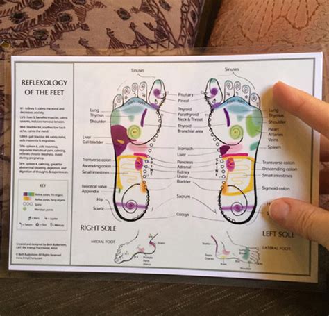 reflexology charts and posters